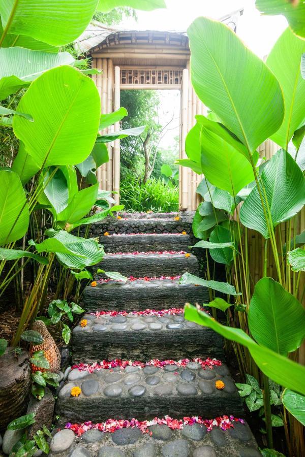 Vila Balikayanas Bamboo House - Miggiell House Karangasem Exteriér fotografie